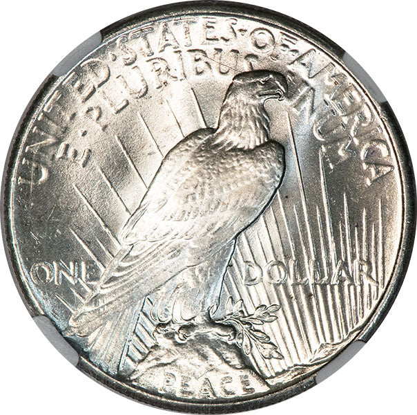 1925 $1 NGC MS66+ CAC Peace Dollar reverse