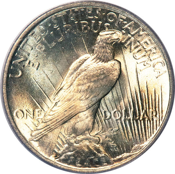 (7363) 1924 $1 Old Holder PCGS MS66