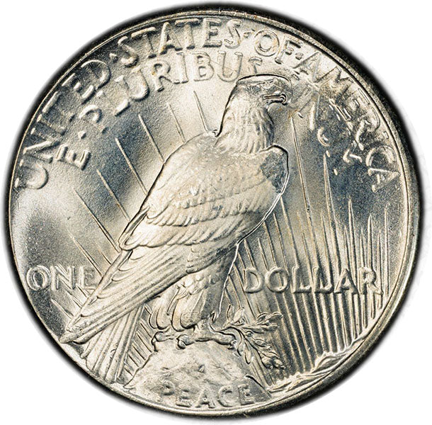 (7365) 1925 $1 PCGS MS67