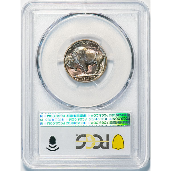 1938-D 5C PCGS MS67+ Buffalo Nickel reverse slab