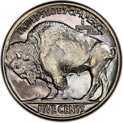 1937 5C PCGS MS67+ CAC Buffalo Nickel reverse